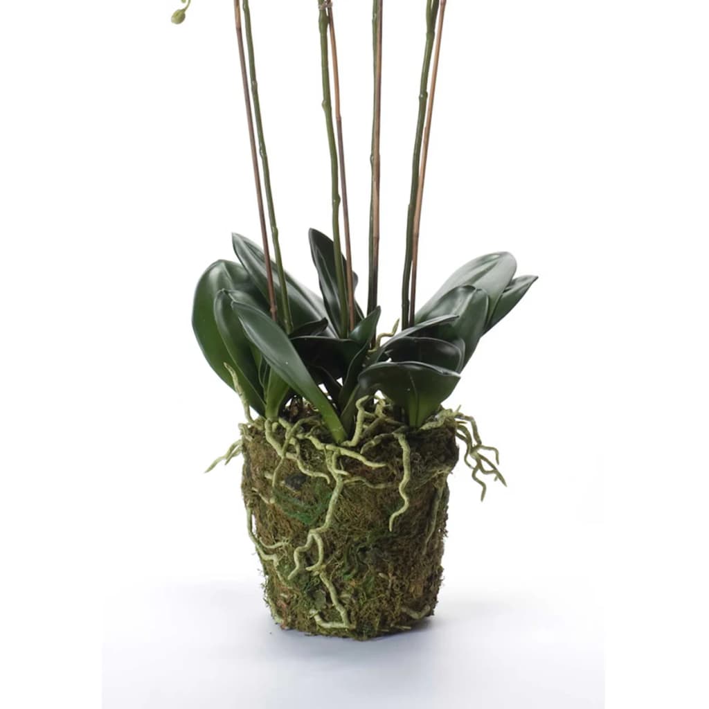 Emerald Emerald Art Plant Orchidee mit Moosweiß 90 cm 20.355
