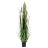 Emerald Emerald Art Plant Getreide Gras 150 cm - afbeelding 1