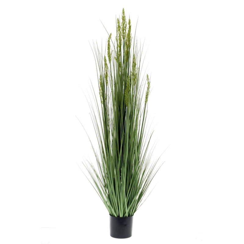 Emerald Emerald Art Plant Getreide Gras 150 cm