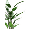 Emerald Emerald Art Plant Heliconia Pflanze Grün 125 cm 419837