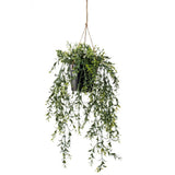 Emerald Emerald Art Plant im Topf Buxus 50 cm hängt - afbeelding 2