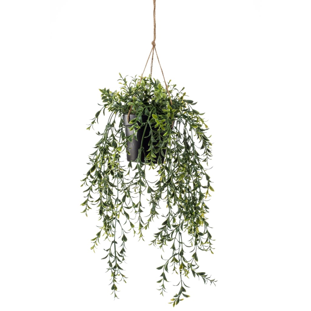 Emerald Emerald Art Plant im Topf Buxus 50 cm hängt