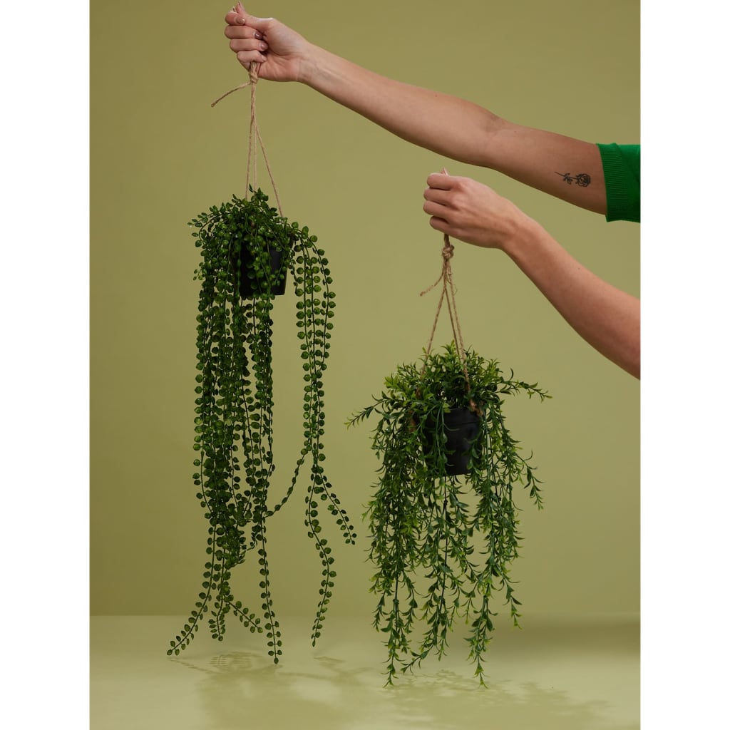 Emerald Emerald Art Plant im Topf Buxus 50 cm hängt