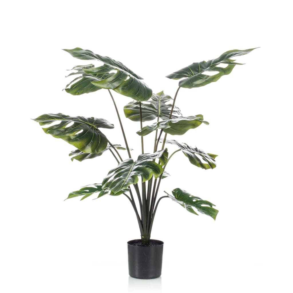 Emerald Emerald Art Plant Lochpflanze im Topf 98 cm