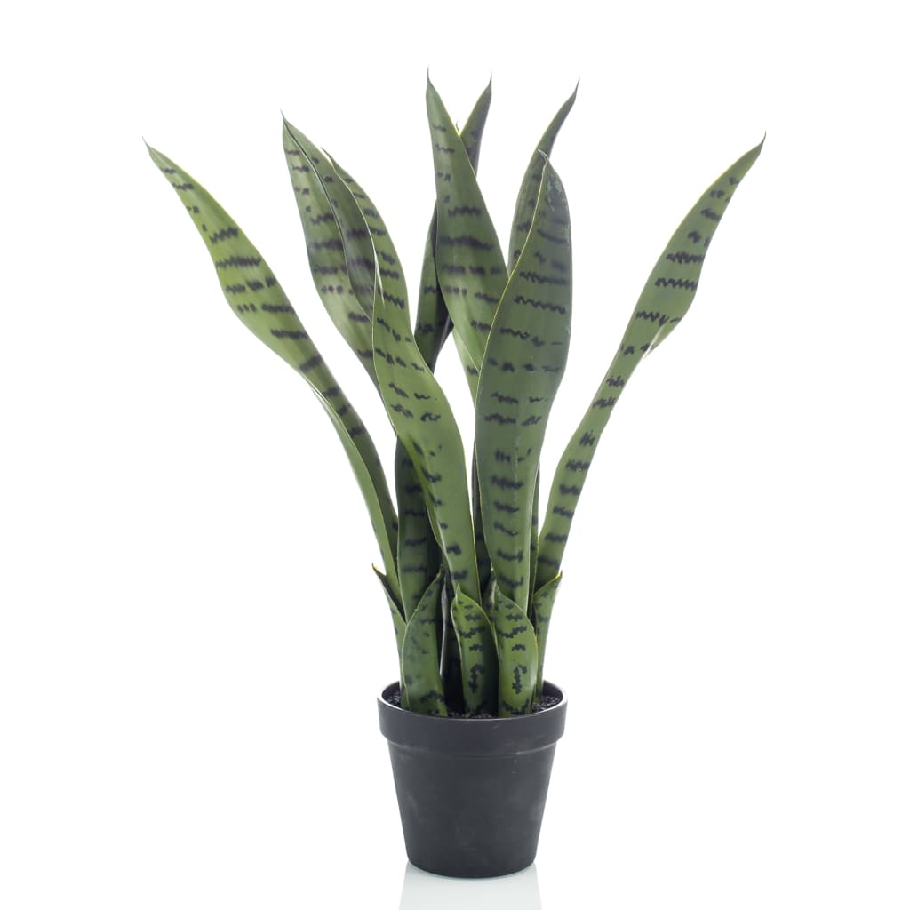 Emerald Emerald Art Plant Sansevieria in Topf 55 cm