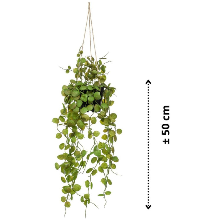 Smaragd Smaragdkunstpflanze in Topflaterne 50 cm hängen