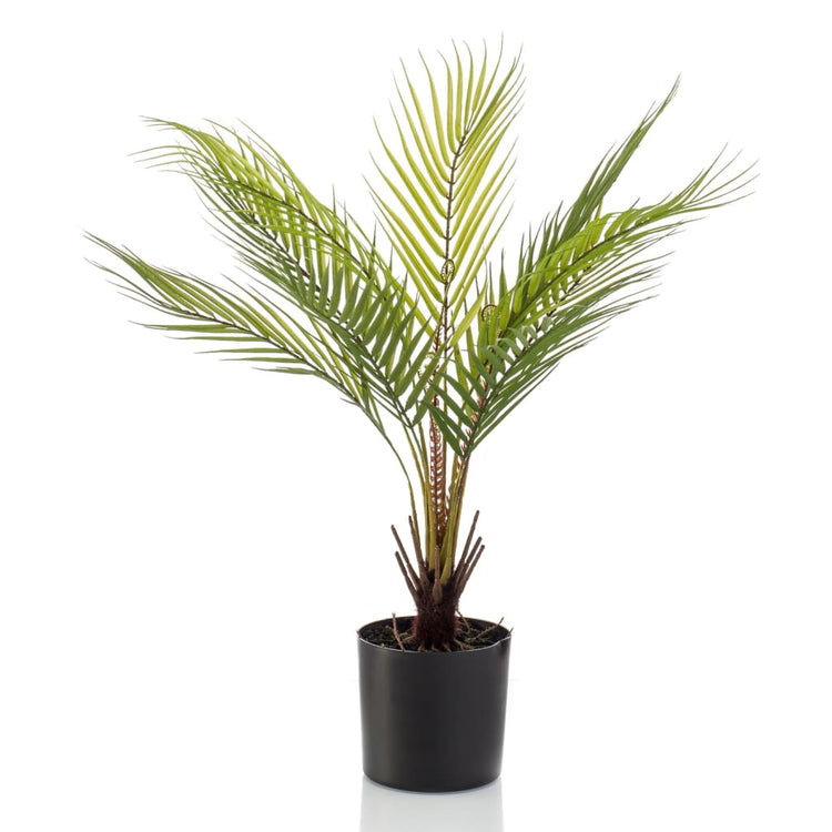 Emerald Emerald Art Plant in Topf Chamaedorea Palm 50 cm