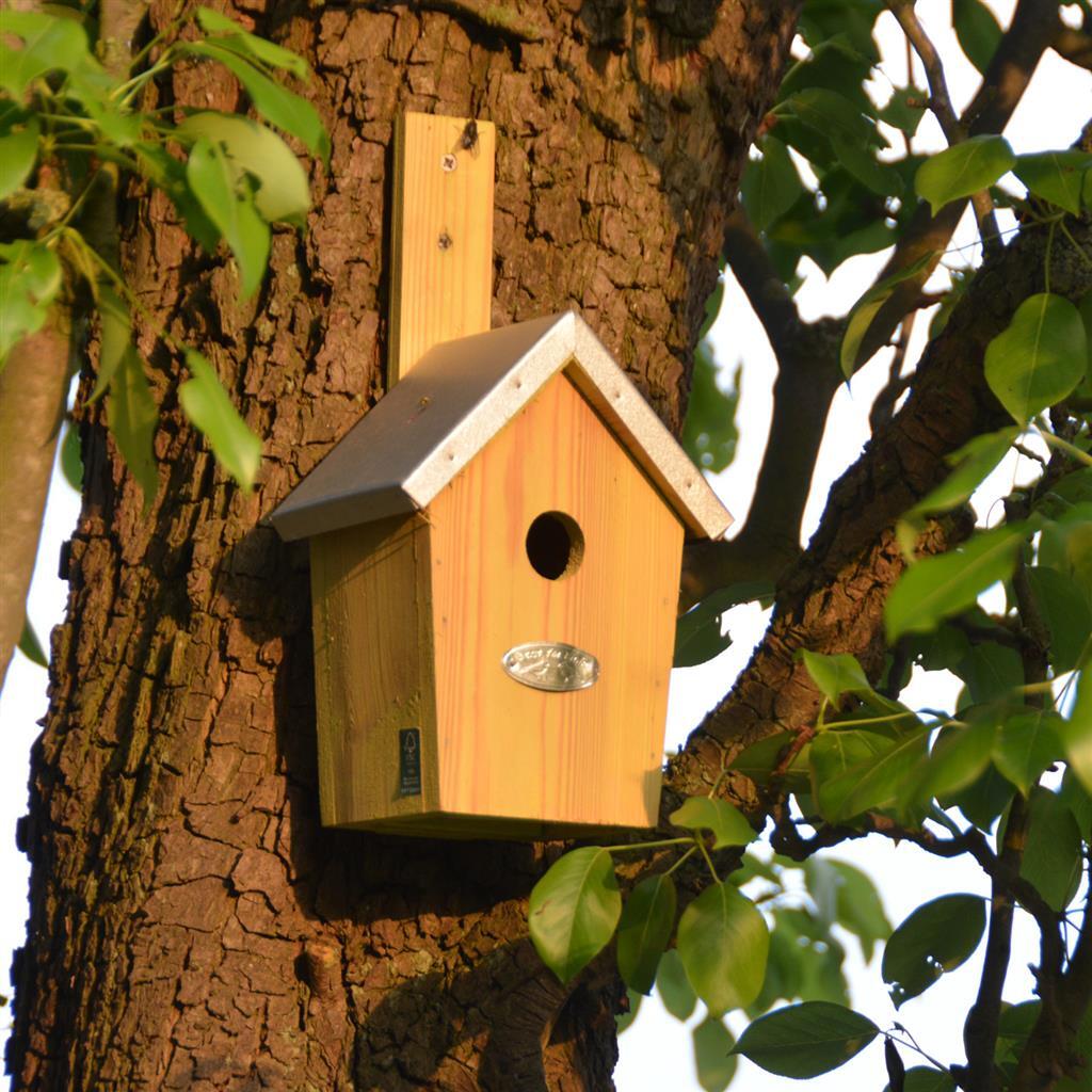 EssCernert Design Nest Box Green