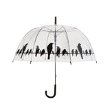 Regenschirmvögel auf Draht transparent schwarz - afbeelding 1