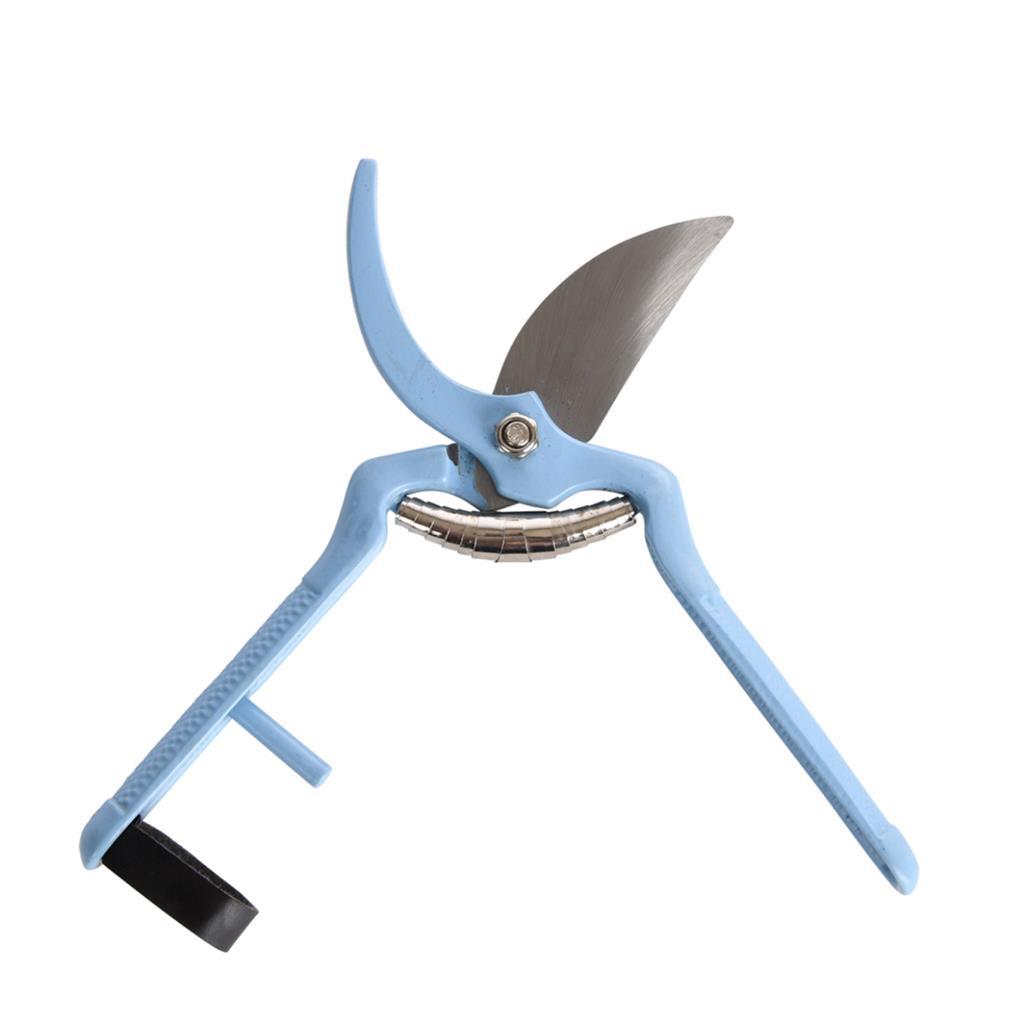 Essschert Design Paning Shears Blue Töne Assorti