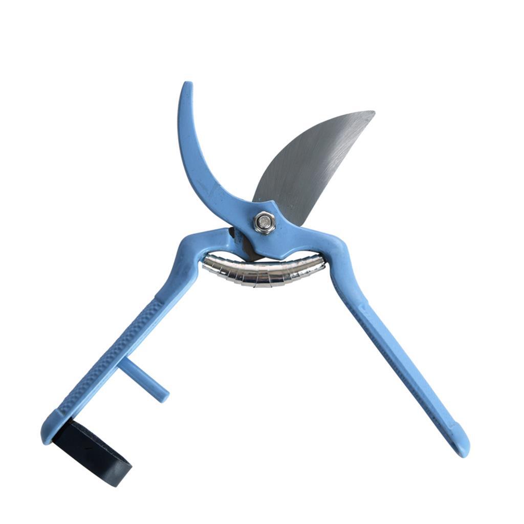 Essschert Design Paning Shears Blue Töne Assorti