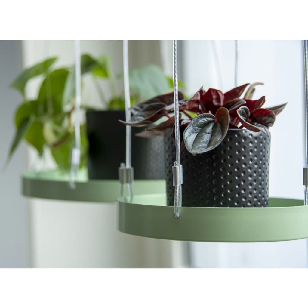 Essschert Design Esschert Design Pflanze Blad hängt rund s grün