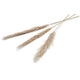 Pampas trockene Blume 150 cm Set 3 natürlicher