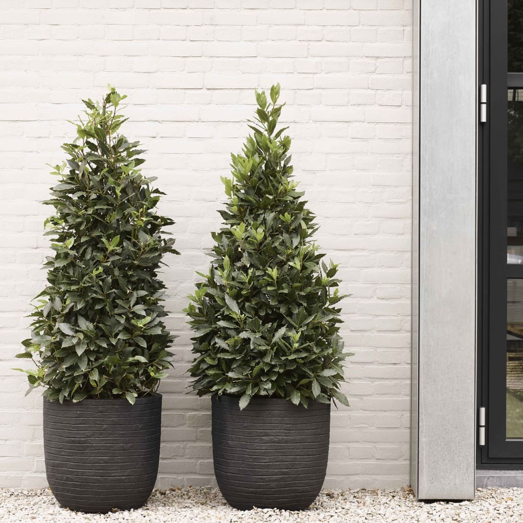 Capi Capi Blumentopf Naturreihe 43x41 cm schwarz kblro933