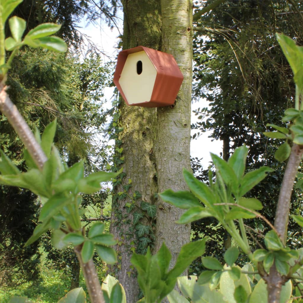 Capi capi vogelhuisje hive 2 19x23x20 cm braun
