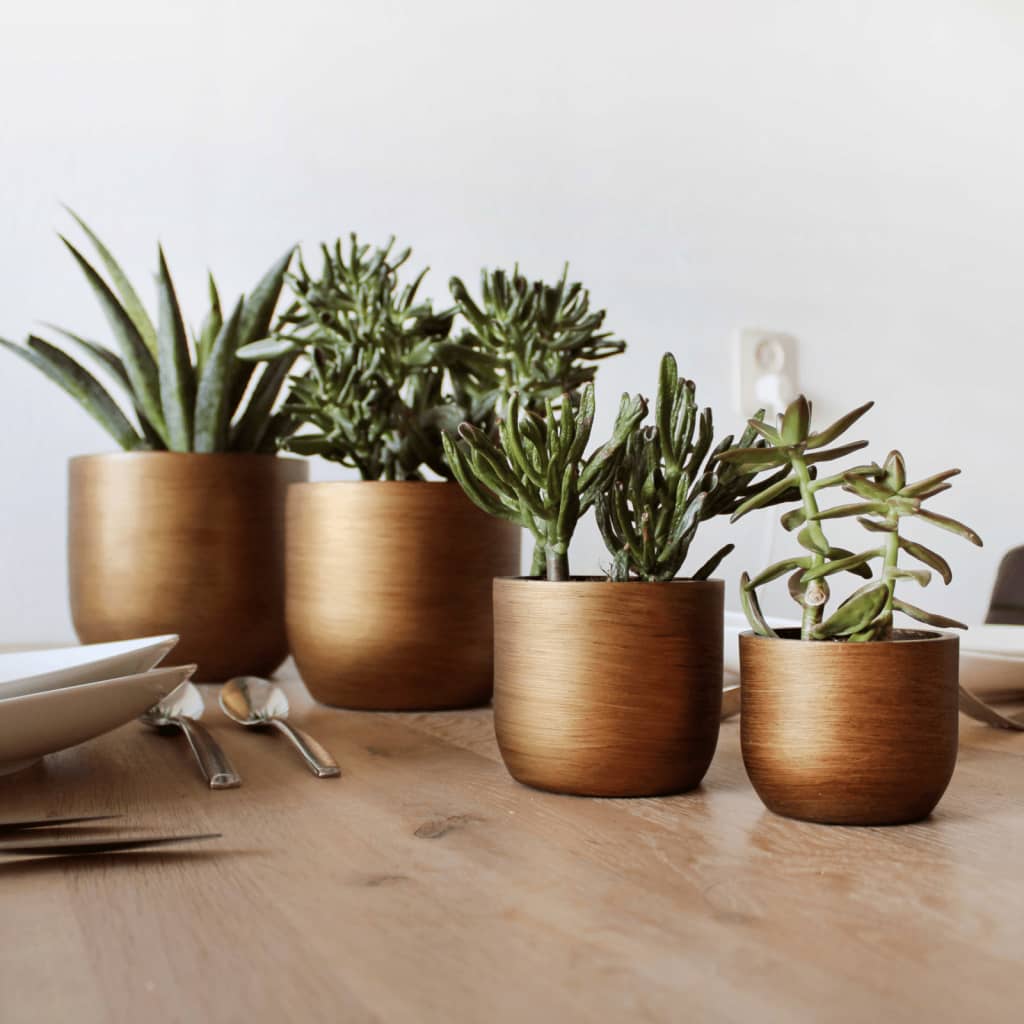 Capi Capi 4-teiliger Blumenkind-Set Lux Retro Gold gefärbt