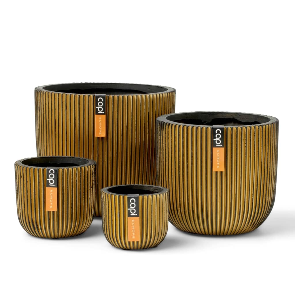 Capi capi 4-teiliger Blumenkalz Groove Gold gefärbt