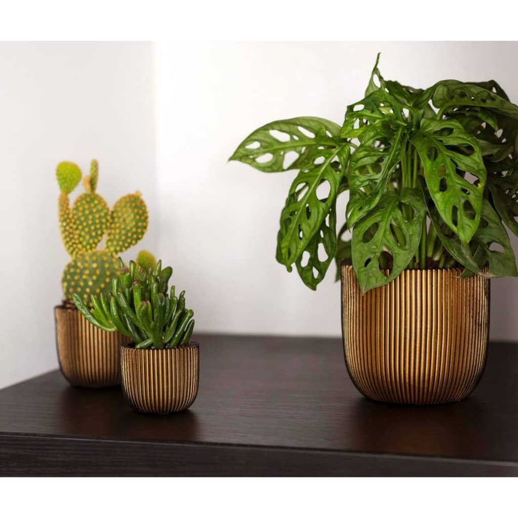 Capi capi 4-teiliger Blumenkalz Groove Gold gefärbt