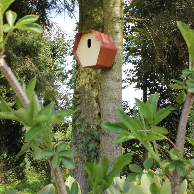 Capi Capi Vogelhuisje Hive 2 Ovales Loch 19x23x20 cm Braun