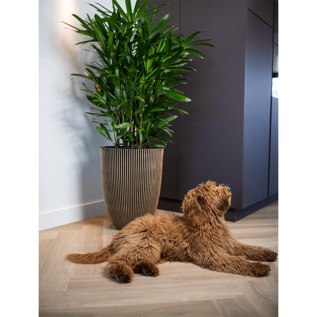 Capi Capi Flowerpot Groove elegant 34x46 cm schwarz und goldfarben