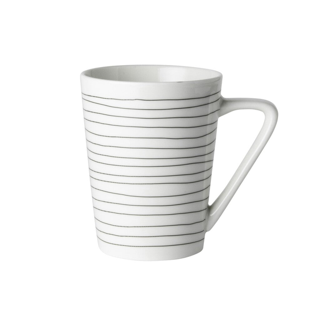 Niederländische Rose Dutch Rose Cup White Streifen