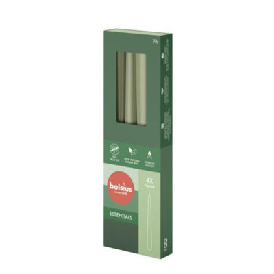 Bolsius Gothic Candles 245 24 Box 4 Frisch Olive