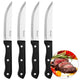 Vaggan Steakmesser 4 Stück Edelstahl schwarz