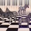 Ansichtskarte cd03: Klavier Zebra 6-tlg