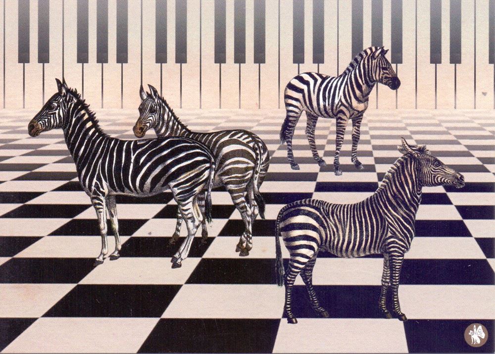 Ansichtskarte cd03: Klavier Zebra 6-tlg