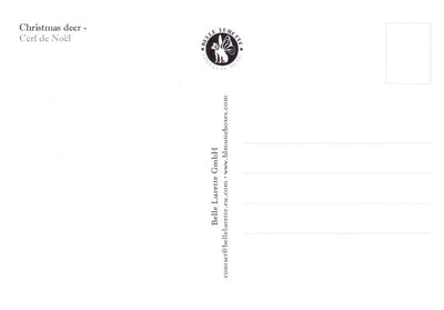 Bildpostkarte CD10: Weihnachtsdee 6tlg