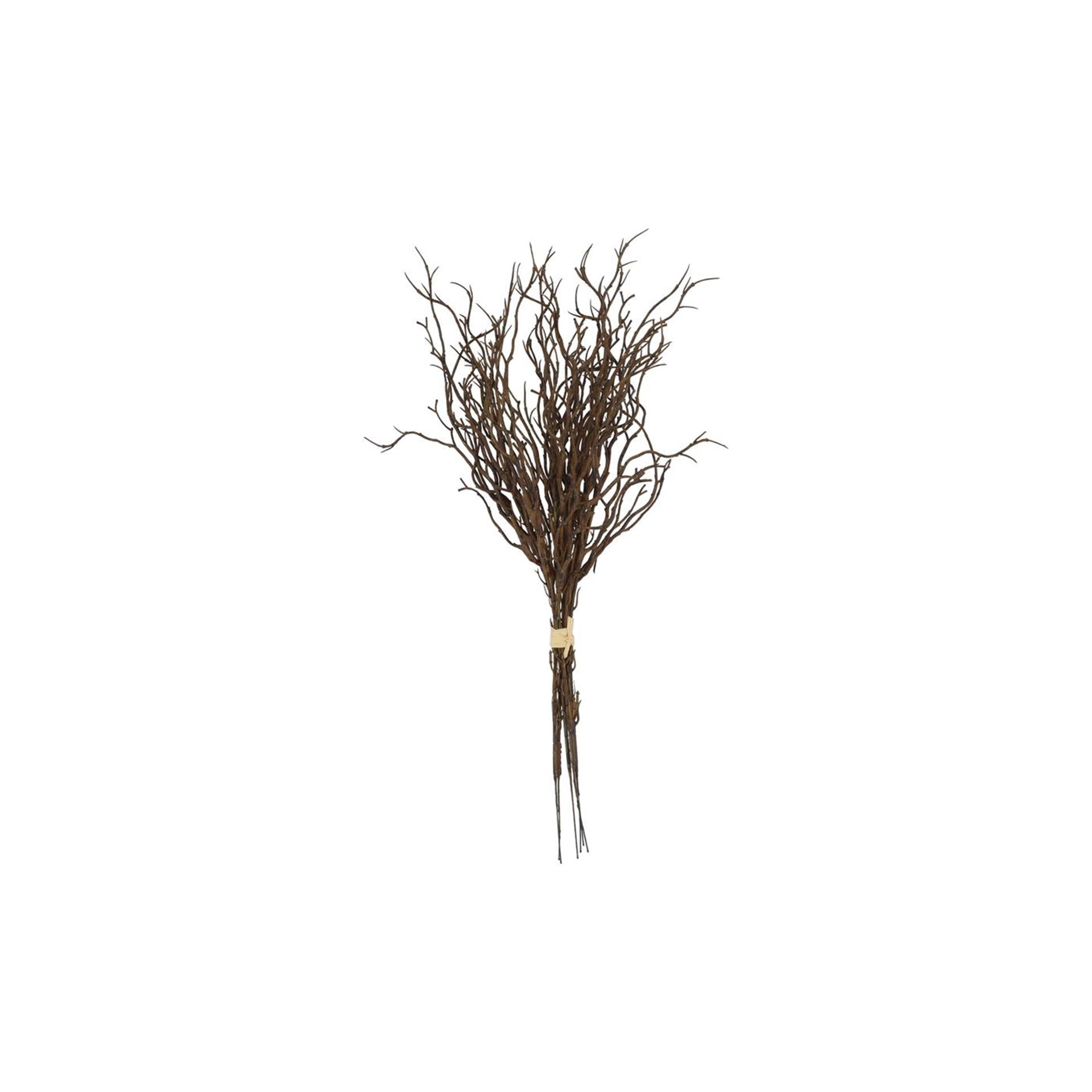 Countryfield Myrica*6 braun L9B9H47cm
