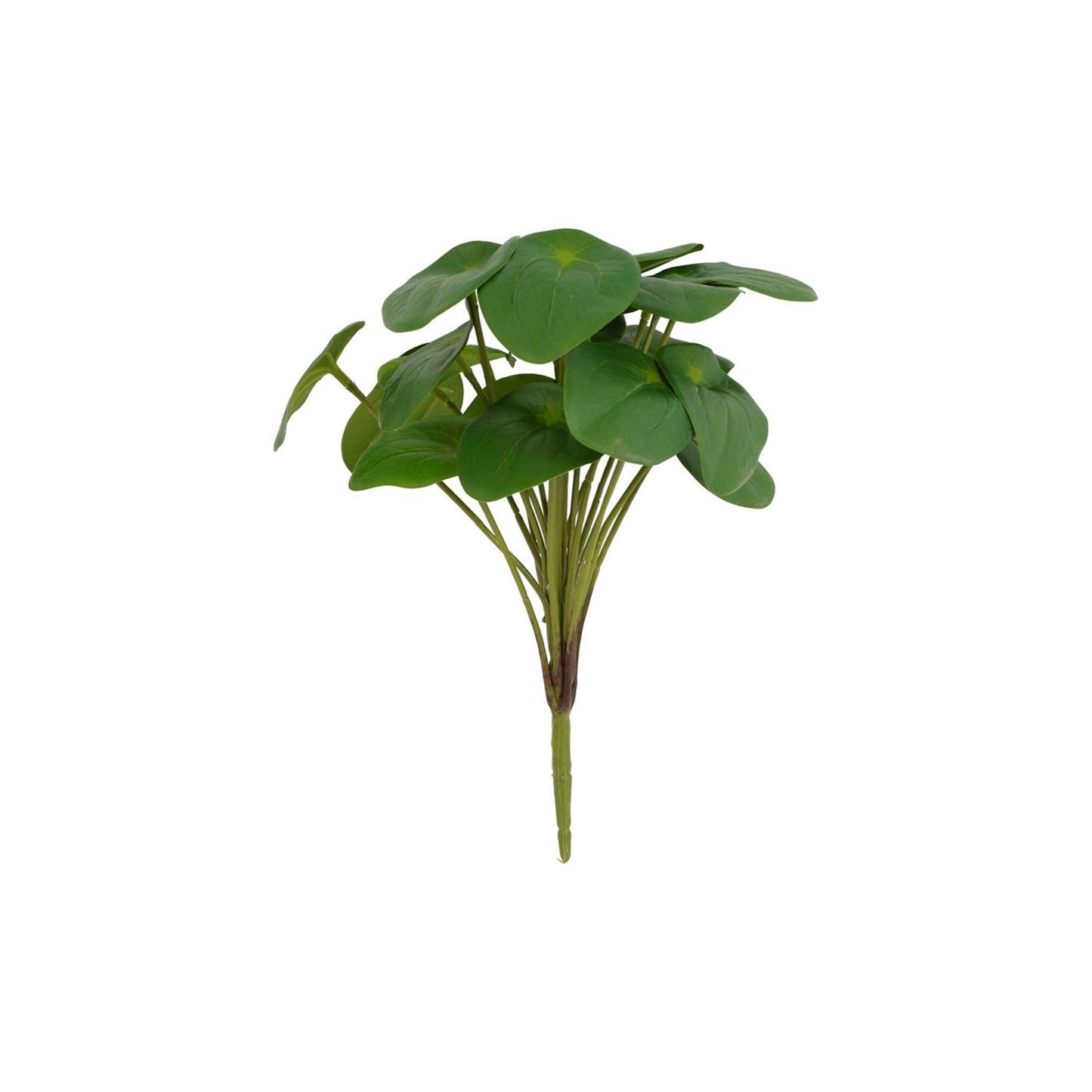 Countryfield Kunstpflanze Pilea 22x22x25cm