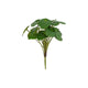 Countryfield Kunstpflanze Pilea 22x22x25cm
