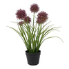 Countryfield Kunstpflanze Allium h60cm