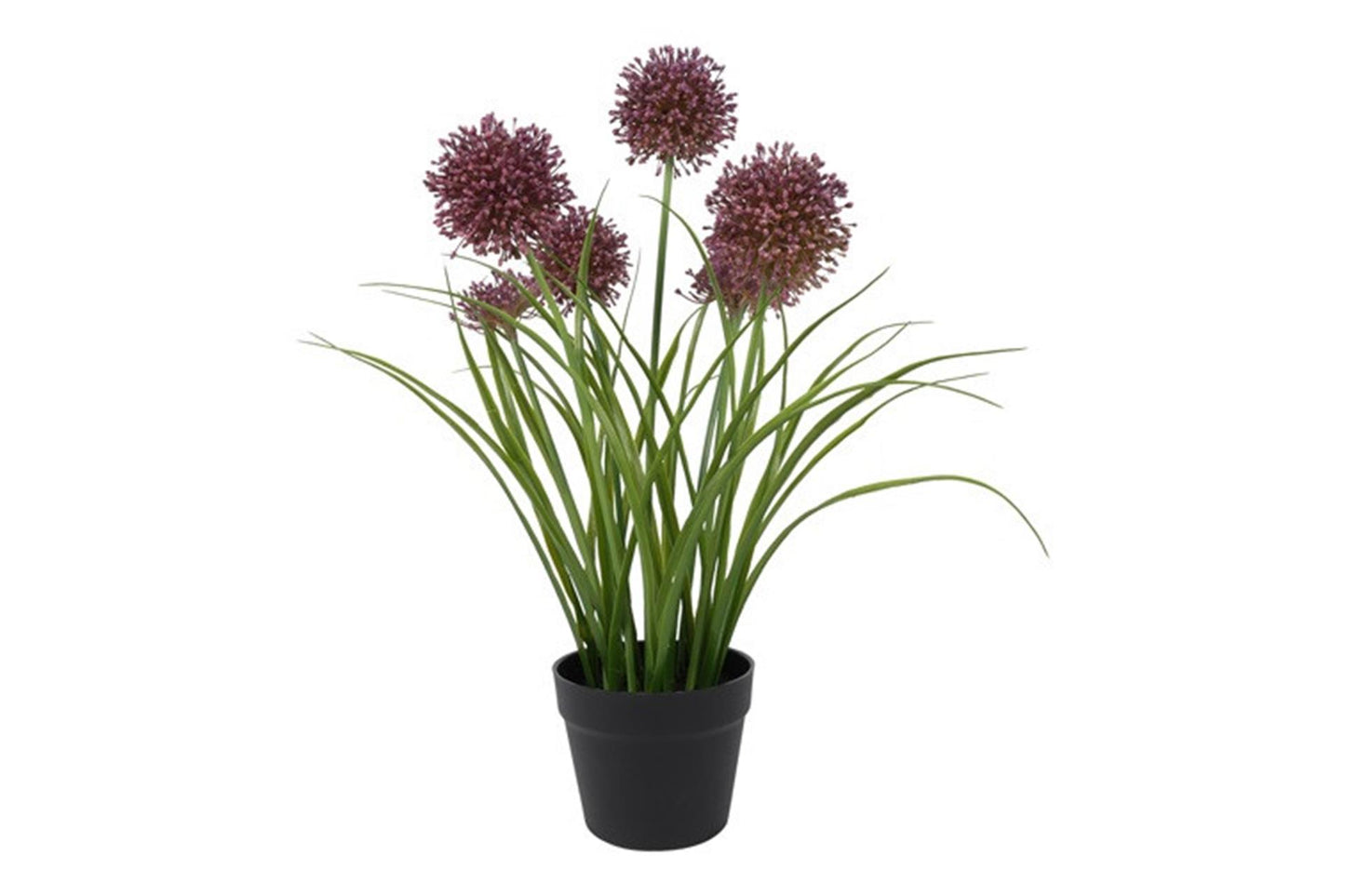 Countryfield Kunstpflanze Allium h60cm