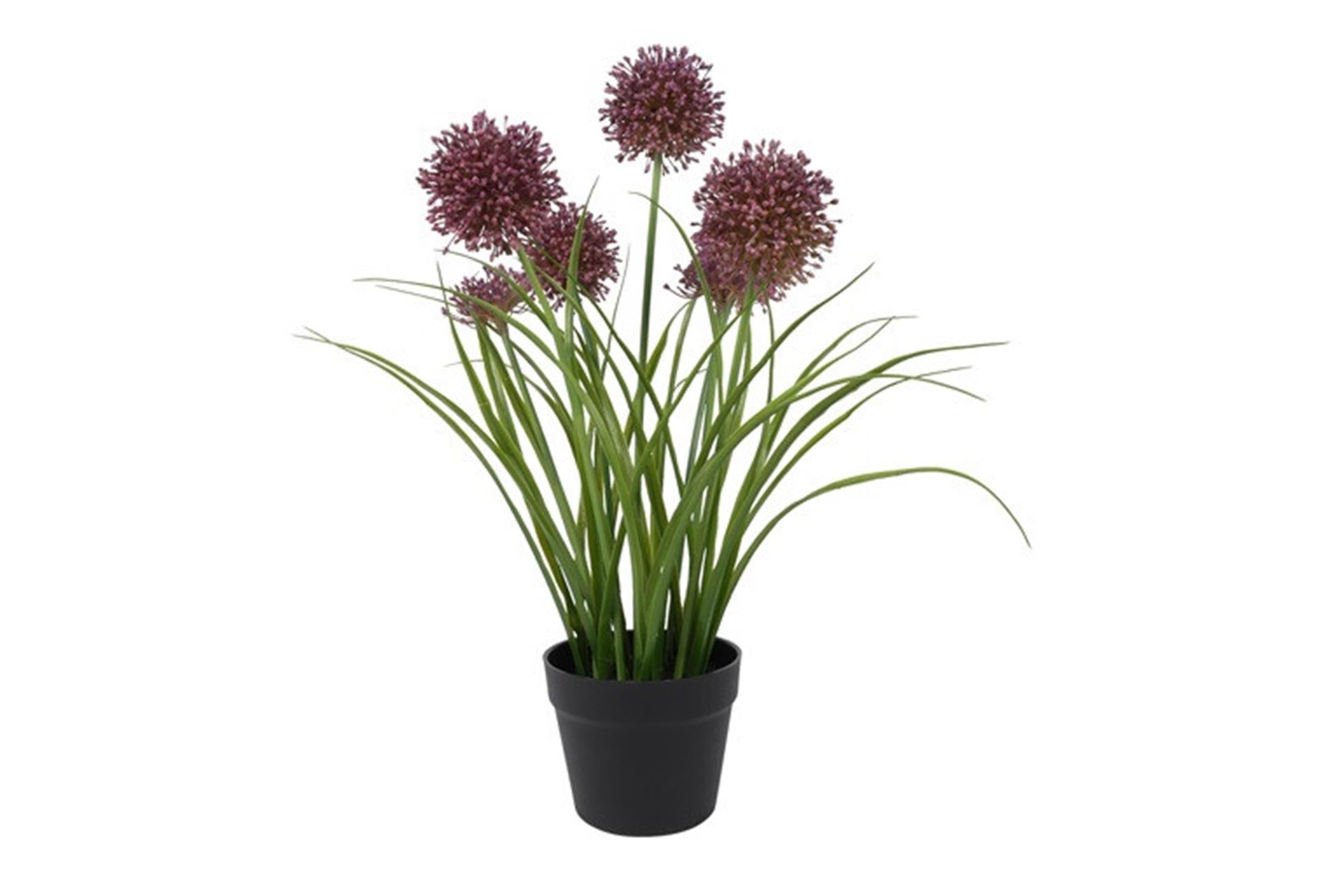 Countryfield Kunstpflanze Allium h60cm