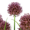 Countryfield Kunstpflanze Allium h60cm