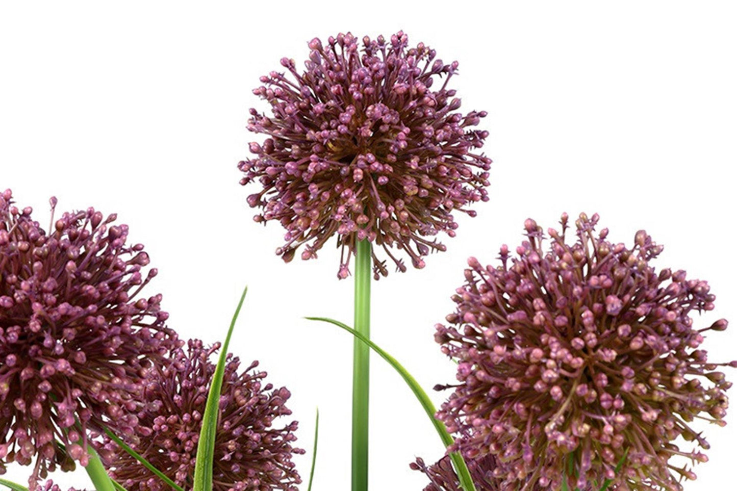 Countryfield Kunstpflanze Allium h60cm