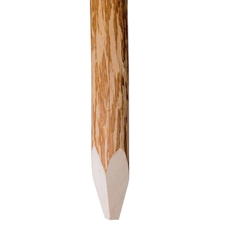Vidaxl Zaunpfosten mit Punkt 4 PCs 90 cm Haselholz Holz