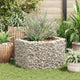 Vidaxl Gabion Pflanzer Insent Hexagonal 100x90x50 cm