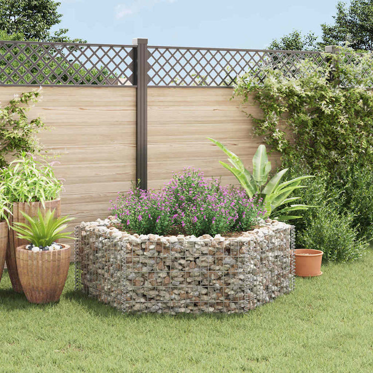 Vidaxl Gabion -Pflanzer vermehrte hexagonale 160x140x50 cm