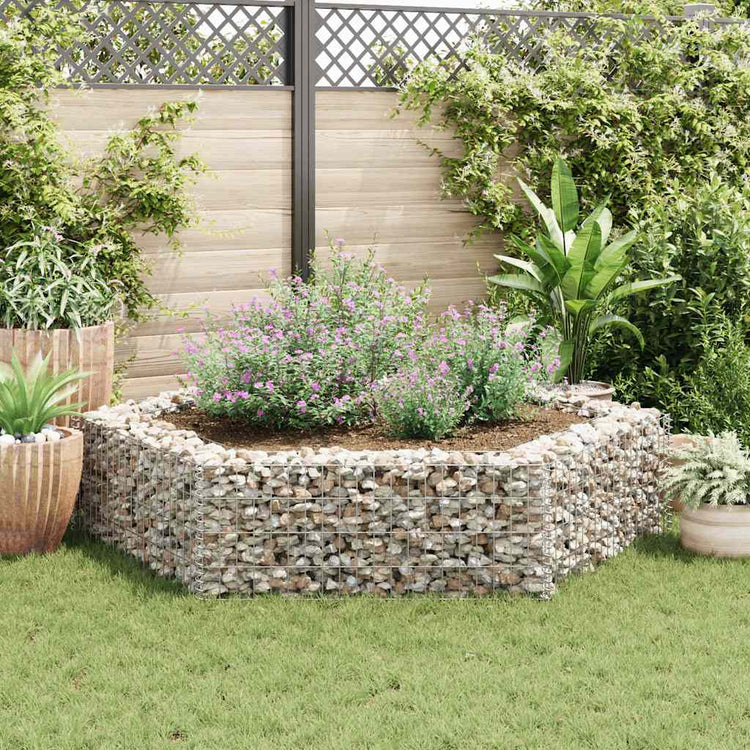 Vidaxl Gabion -Pflanzer vermehrte hexagonale 200x173x40 cm
