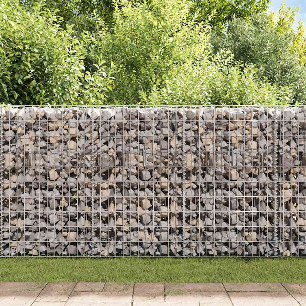Vidaxl Gabion Basket 120x30x100 cm verzinkter Stahl