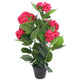 Vidaxl Art Hortensia Pflanze mit Topf 60 cm rot