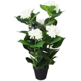 Vidaxl Art Hortensia Pflanze mit Topf 60 cm Weiß - afbeelding 1
