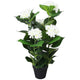 Vidaxl Art Hortensia Pflanze mit Topf 60 cm Weiß
