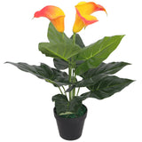 Vidaxl Art Calla Lelie Pflanze mit Topf 45 cm rot und gelb - afbeelding 1