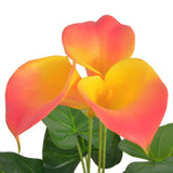 Vidaxl Art Calla Lelie Pflanze mit Topf 45 cm rot und gelb - afbeelding 2
