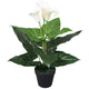 Vidaxl Art Calla Lelie Pflanze mit Topf 45 cm Weiß