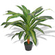 Vidaxl Art Dracena Pflanze mit Topf 90 cm Grün